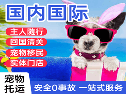 长水空运公司国际宠物托运 【国